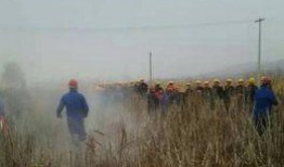 甘肃爆料最新,揭秘当地最新热点事件！